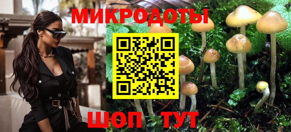 Галлюциногенные грибы GOLDEN TEACHER  Вход с VPN  Галлюциногенные грибы Psilocybe  Красногорск 