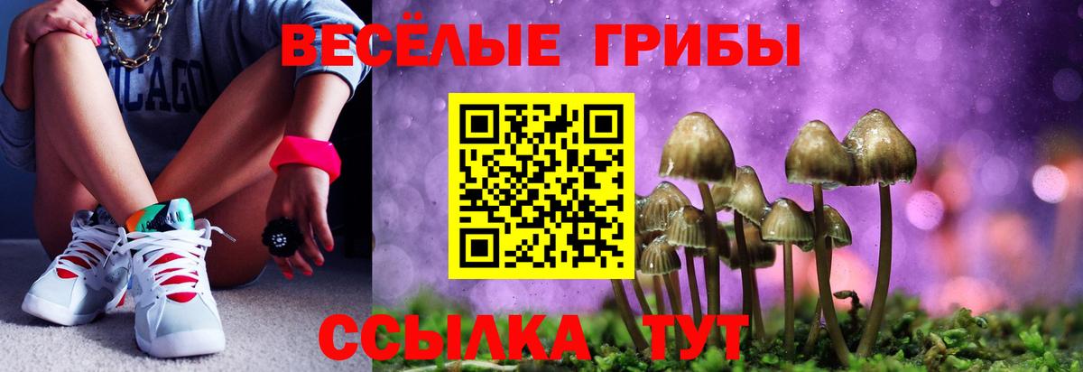 Псилоцибиновые грибы ЛСД Красногорск